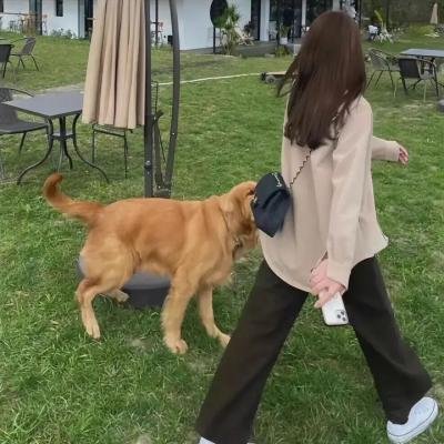 黑色无双