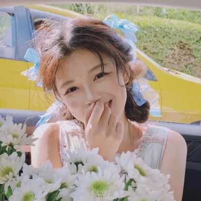 万花嬉春